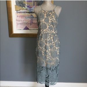 Romeo & Juliet Couture Lace Dress